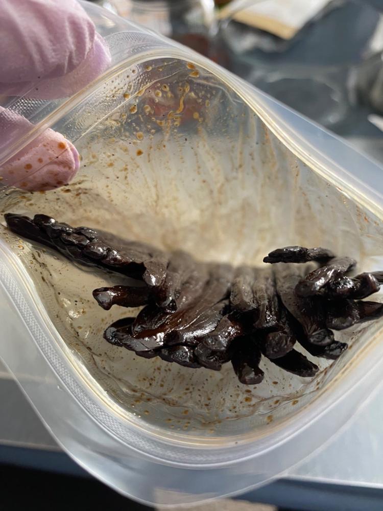 Gourmet Comoros Vanilla Beans - Customer Photo From Cindy Meyer