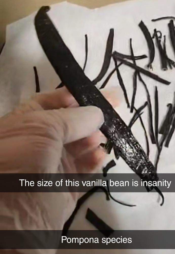 Gourmet Madagascar Pompona Vanilla Beans - Customer Photo From Ryan Duff