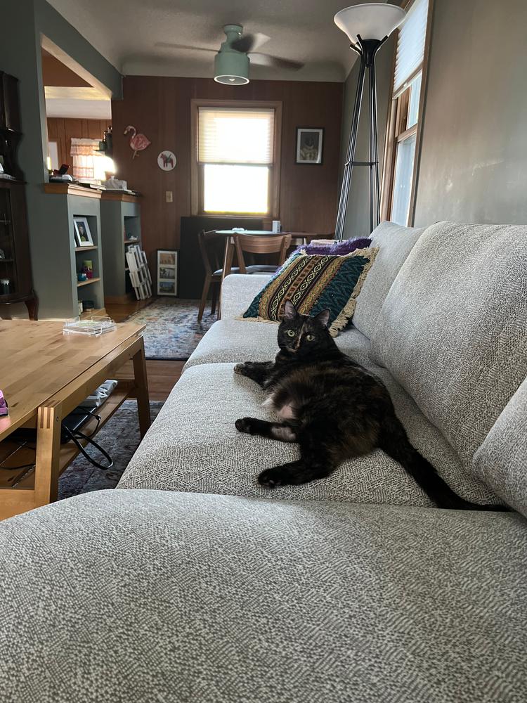 Rowena Right Cuddler Sectional - Customer Photo From Amanda