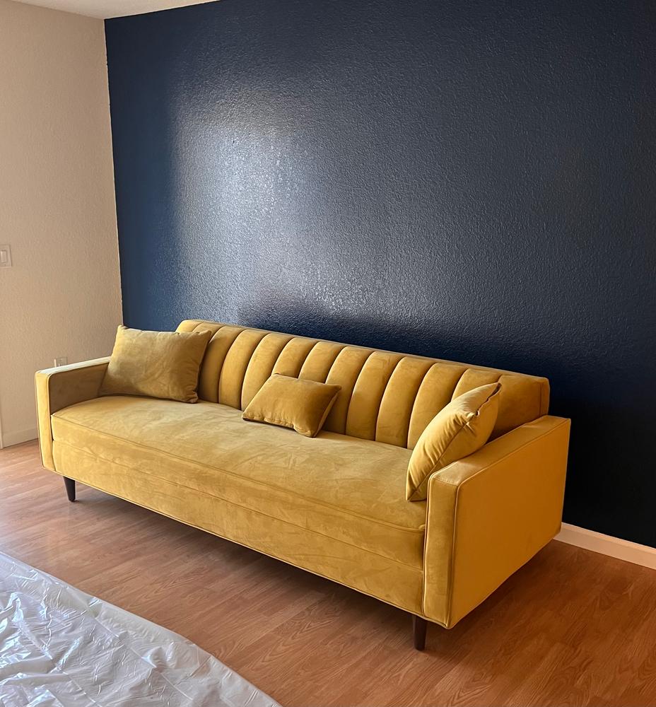 Delphine Sofa - Customer Photo From Bonnie 