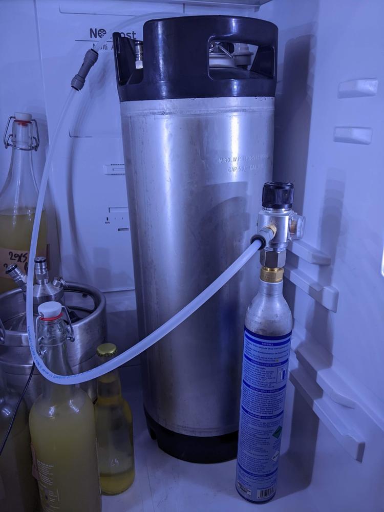 Cornelius Keg, 19 Liters | "The Dominator" - Customer Photo From Stève Thirion