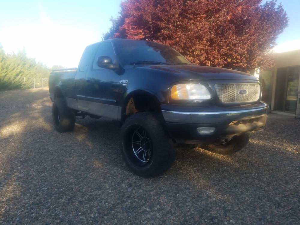 Fabtech Performance Gas Shocks Set for 1997-2003 Ford F150 4WD w/6" lift - Customer Photo From Noel Astorga