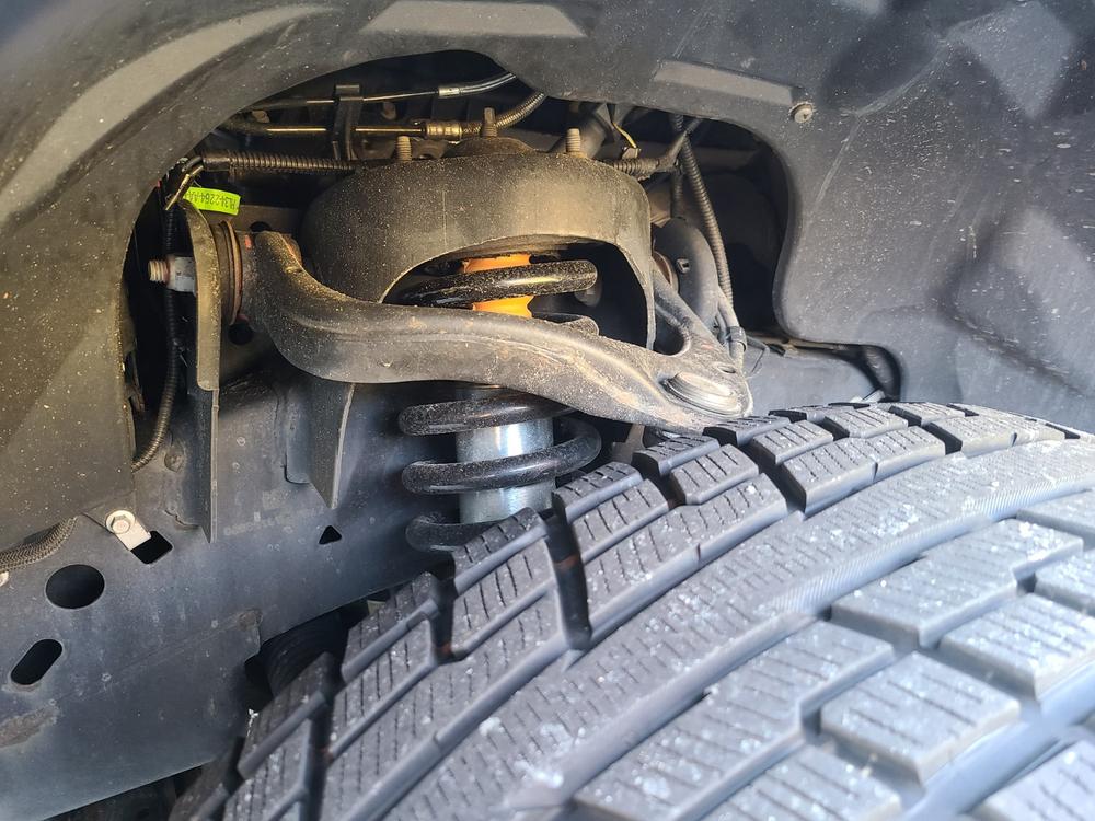 Bilstein 6112 Strut & Spring Front Pair for 2015-2020 Ford F150 4WD - Customer Photo From Erik Bergquist