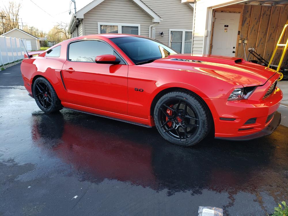 Bilstein B6 Performance Strut & Shocks Set for 2005-2010 Ford Mustang RWD - Customer Photo From alejandro guerrero
