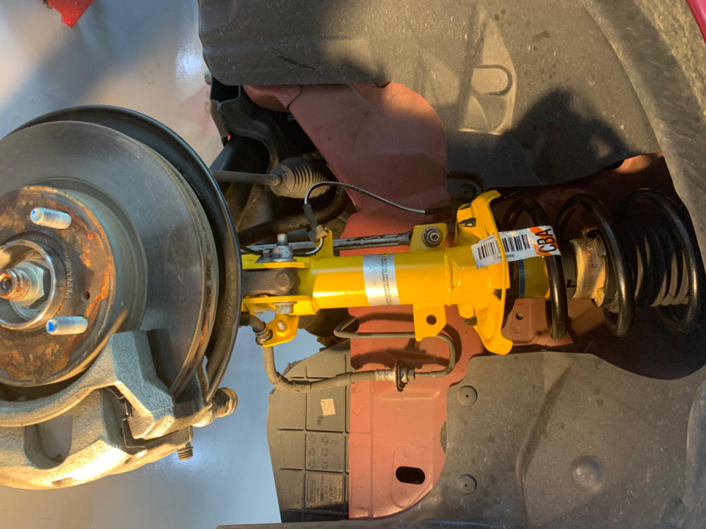 Bilstein B6 Performance Strut & Shocks Set for 2011-2019 Ford Fiesta FWD - Customer Photo From Paul Hagan