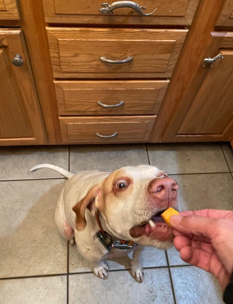 Gracie’s Cheese Delights - Customer Photo From Virginia Crossett