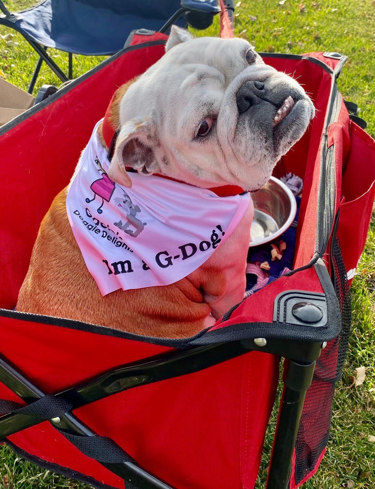 Gracie’s Cheese Delights - Customer Photo From Heather H.