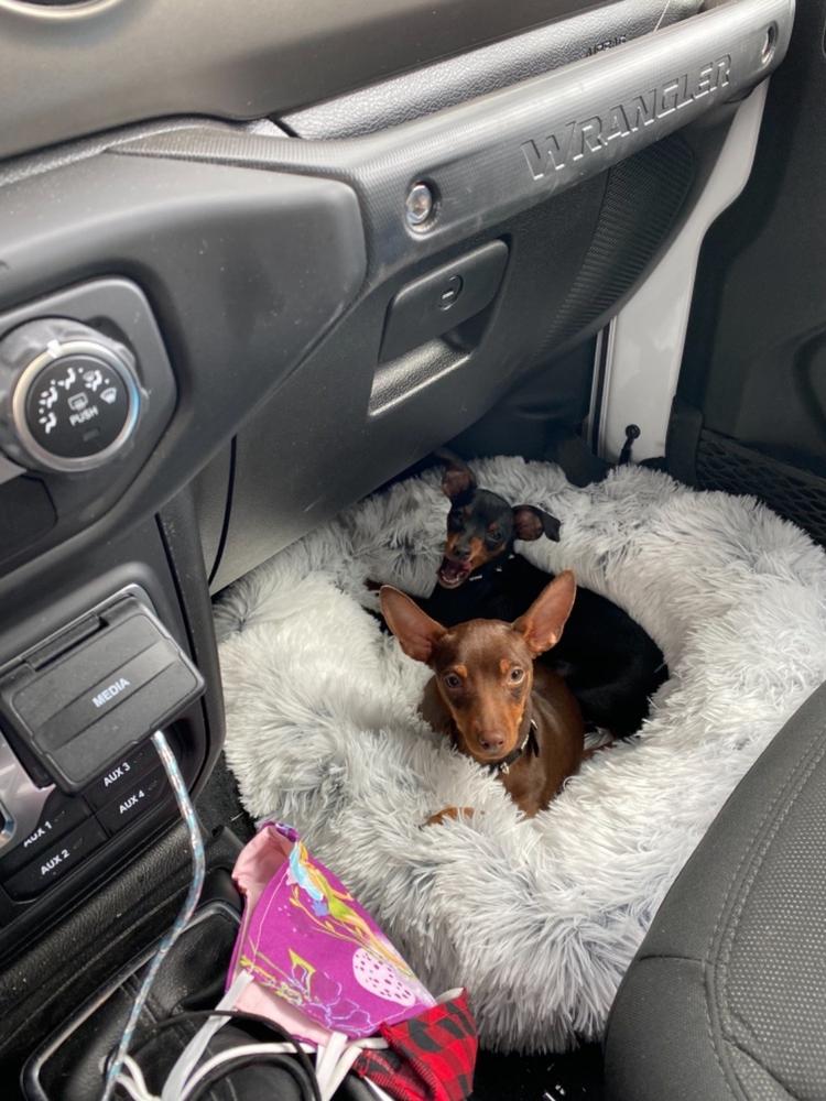 Gracie’s Cheese Delights - Customer Photo From Fatima S.
