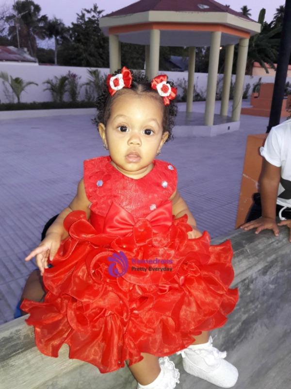 In Stock:Ship in 48 hours Red Organza Lace Flower Girl Dress