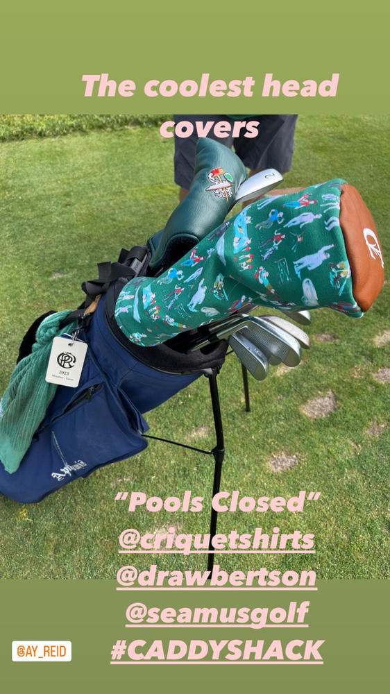 Criquet x Donald Robertson Driver Headcover - Pool