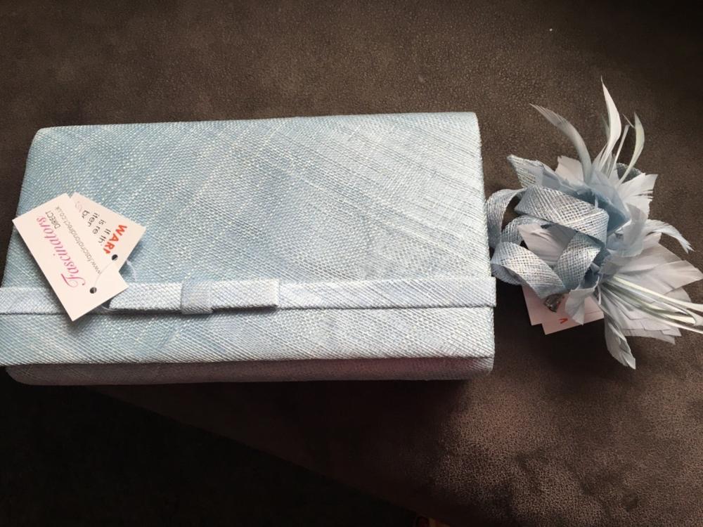 Small Pale Blue Fascinator Clip with Feathers & Loops - Customer Photo From Anonymous