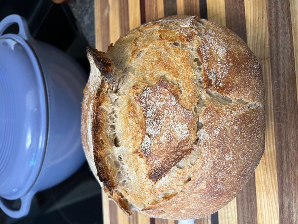 The Heart of Sourdough Bread Baking / Digital Live Workshop / February 2, 2024 - Customer Photo From Chelsea Todd