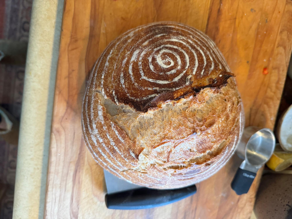 The Heart of Sourdough Bread Baking / Digital Live Workshop / February 2, 2024 - Customer Photo From Jena Koetz