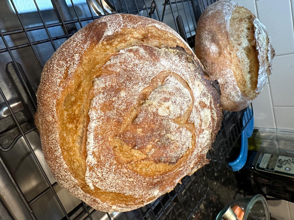 The Heart of Sourdough Bread Baking / Digital Live Workshop / February 2, 2024 - Customer Photo From Danna Fitzgerald