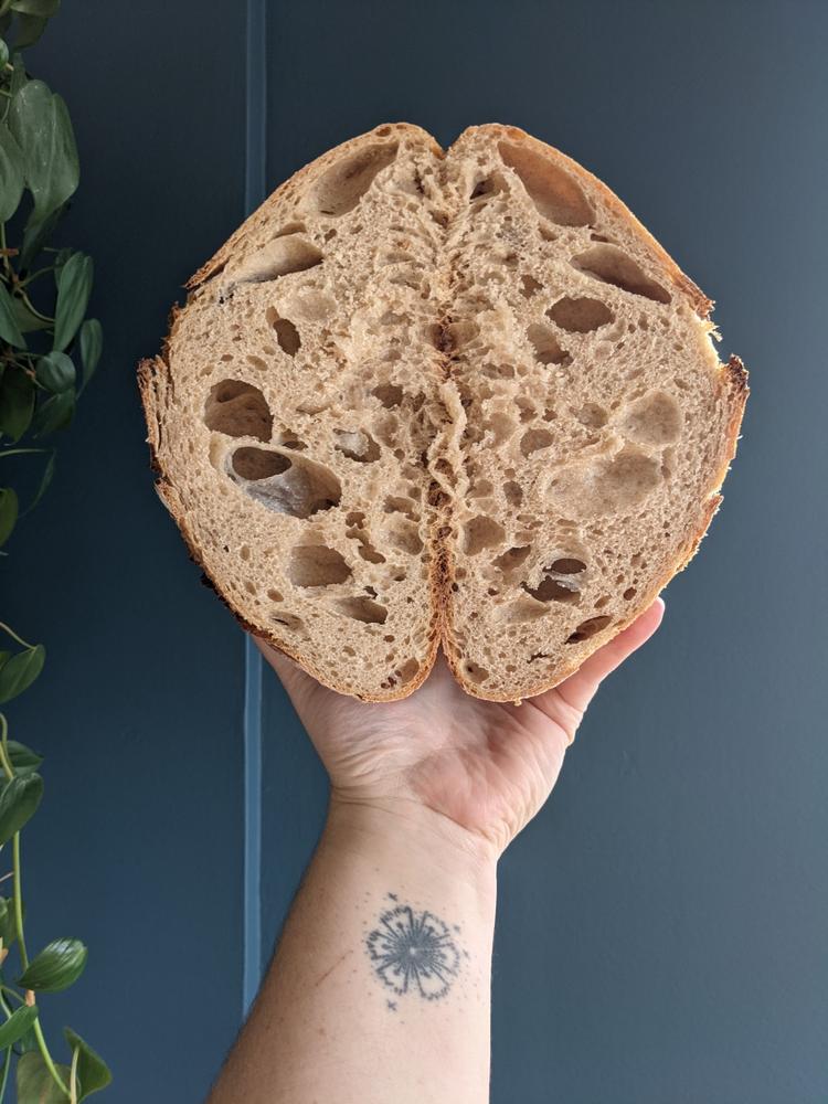 The Heart of Sourdough Bread Baking - digital guidebook only - Customer Photo From Elizabeth E.