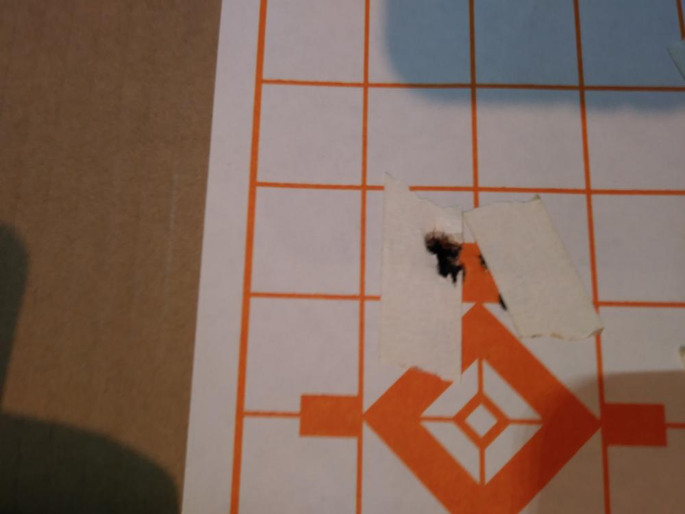 Federal Fusion, 243Win, 95 Grain, Soft Point, 20 Round Box F243FS1 - Customer Photo From 417 cz nut