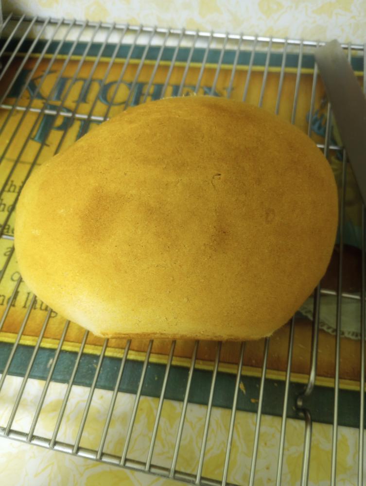 Honey Wheat Bread Mix #10 Can (36 servings) - Customer Photo From Sandra 