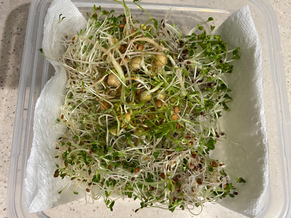 Organic Sunflower Sprouting Seeds by Patriot Seeds (6 ounces) - Customer Photo From Jackie Miller 