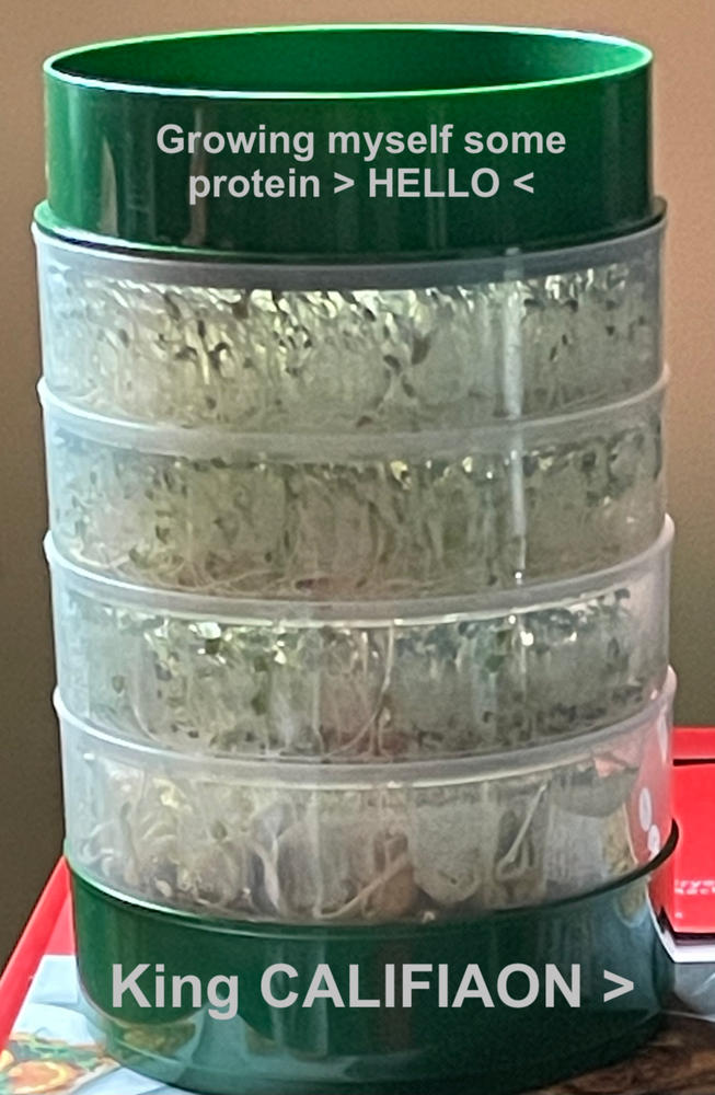 4-Tray Seed Sprouter Set & Sprouting Seeds Starter Kit - Customer Photo From Darryl Sharp