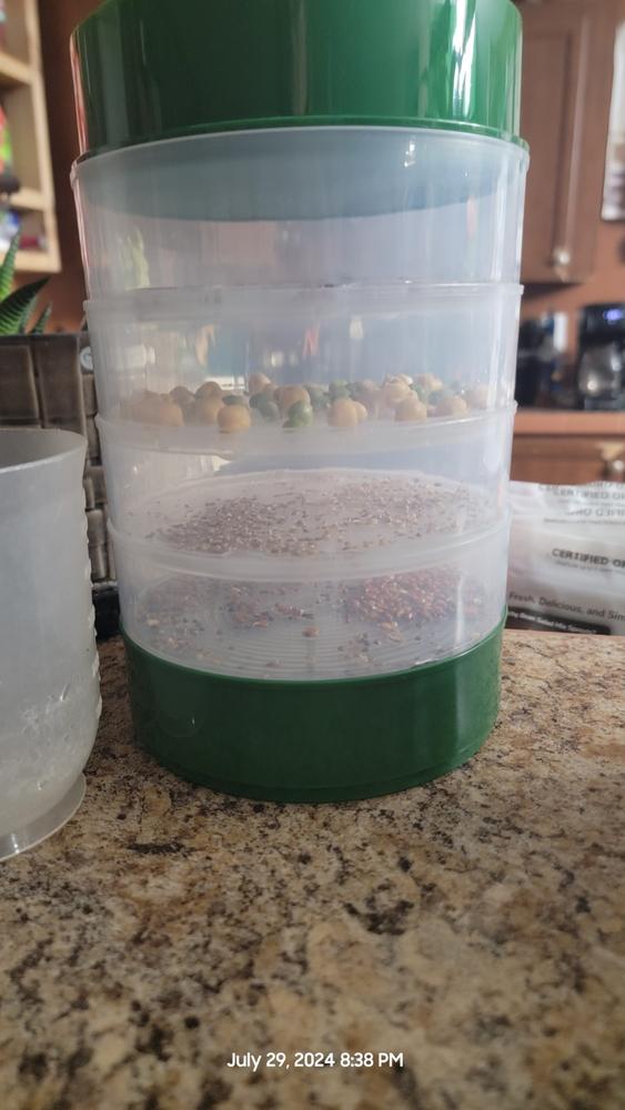 4-Tray Seed Sprouter Set & Sprouting Seeds Starter Kit - Customer Photo From Rebecca Summers