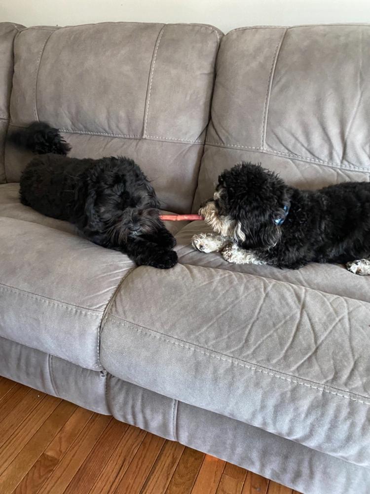 Variety Bulk Straight Bully Sticks for Dogs (Sold by Weight) - Customer Photo From Donna Pensivy