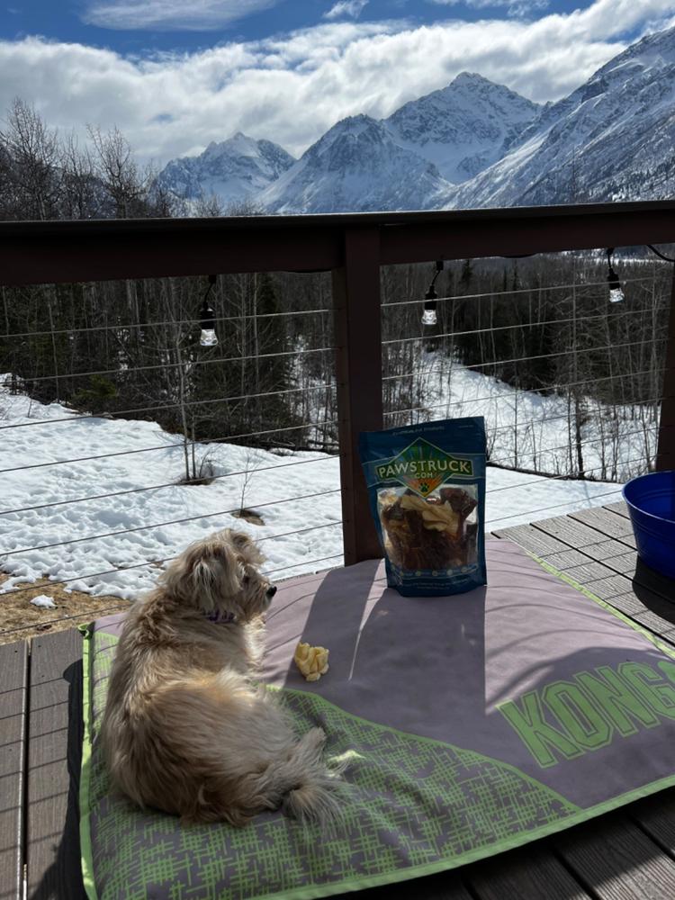 1lb Bizarre Bargain Grab Bag - Customer Photo From Angela B.