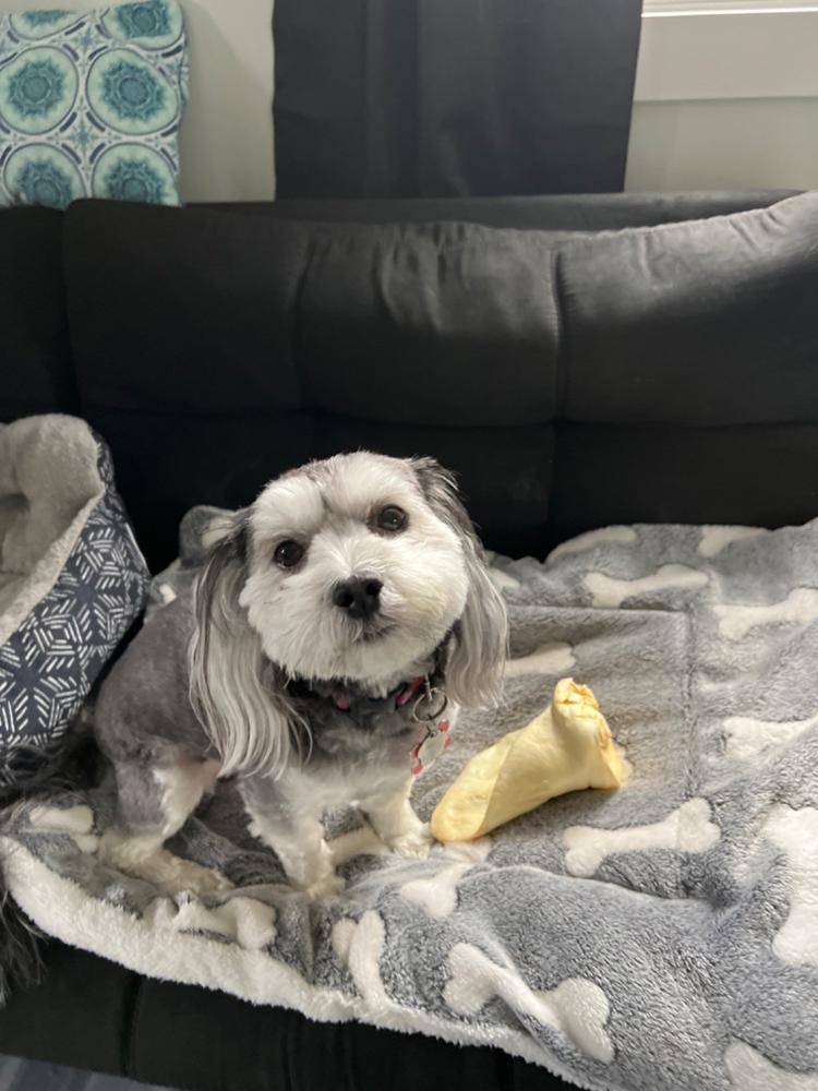 Cow Ear Bizarre Bargain Bag 1.5lb - Customer Photo From Delisa C.