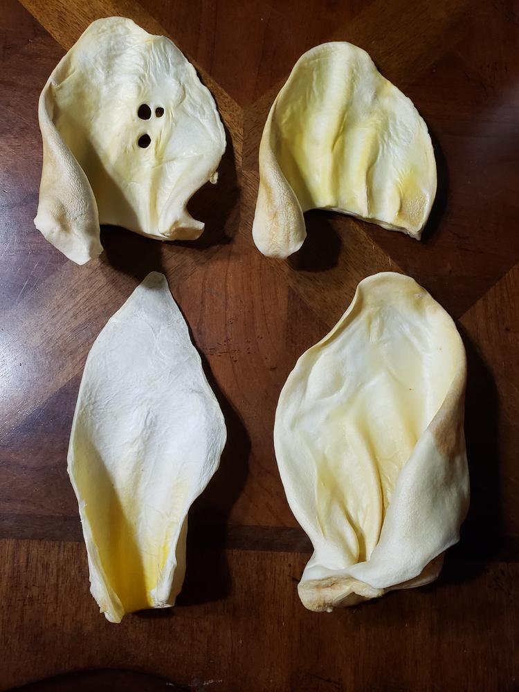 Cow Ear Bizarre Bargain Bag 1.5lb - Customer Photo From Whitney