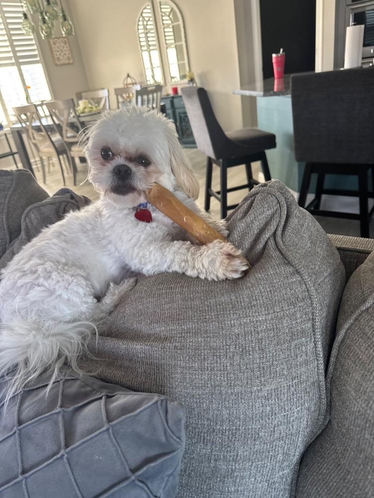 Beef Collagen Sticks - Customer Photo From Marjorie Mertz