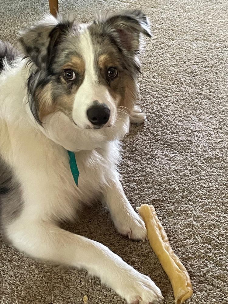 Beef Collagen Sticks - Customer Photo From Lisa Holliday