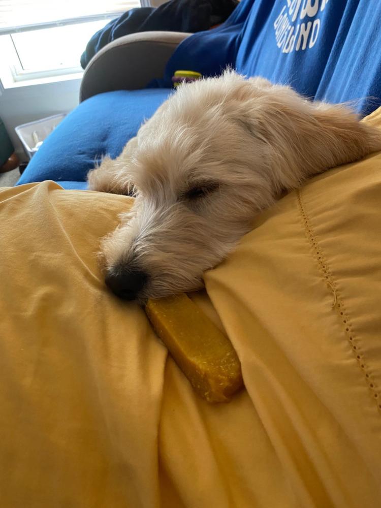 Medium Himalayan Yak Dog Chew, 3-4 oz. - Customer Photo From Nikki L.
