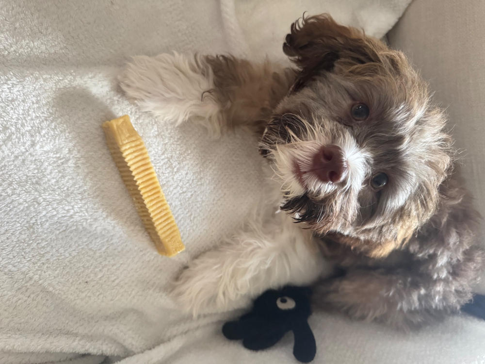 Medium Himalayan Yak Dog Chew, 3-4 oz. - Customer Photo From Carly Watkins