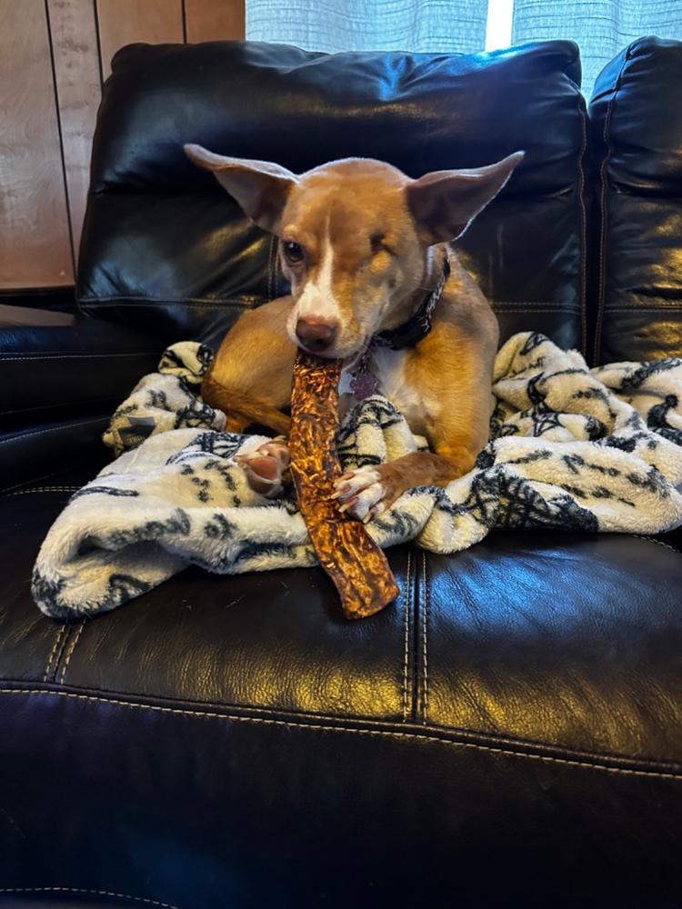 Bully Slices - Customer Photo From Carla P.