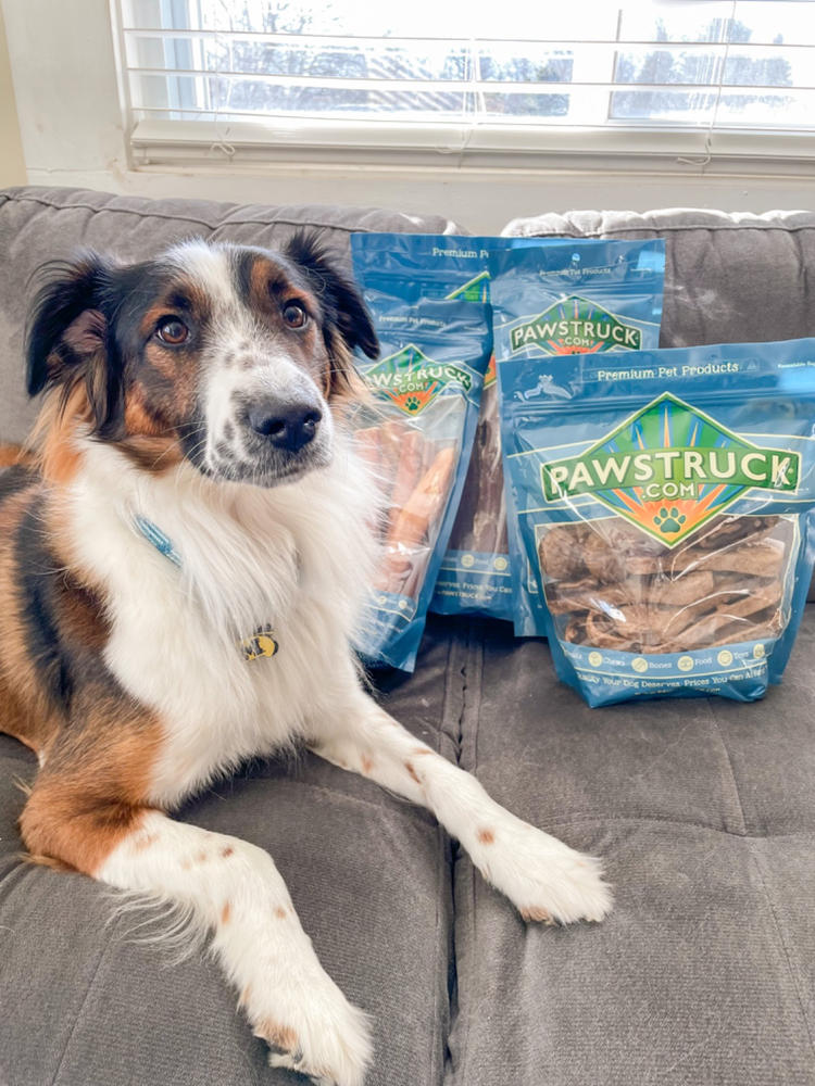 Best of Pawstruck Value Pack Bundle - Customer Photo From mallory m.