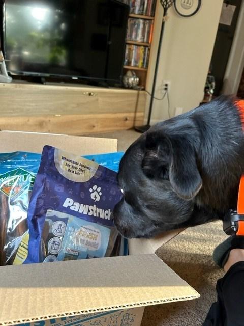 Best of Pawstruck Value Pack Bundle - Customer Photo From Kelli L.