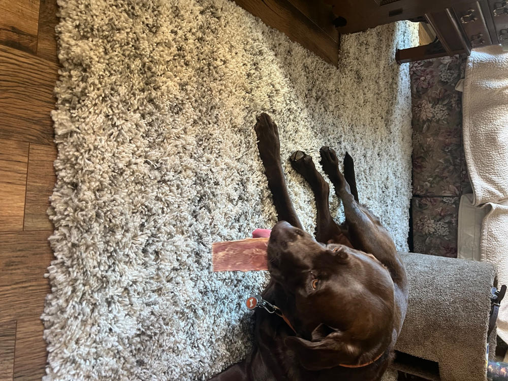 Beef Jerky Joint Health Treats - Customer Photo From Candace Clay