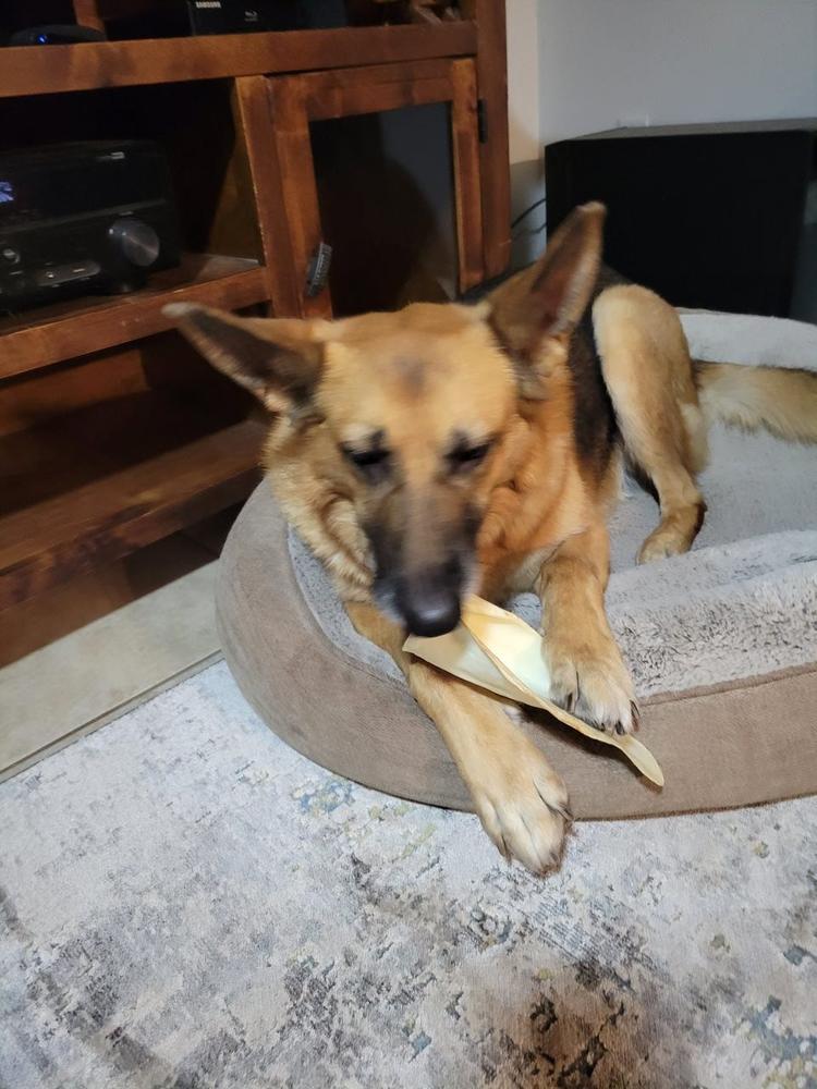 Air Dried Dog Food, Chicken Recipe - Customer Photo From Dawn L.