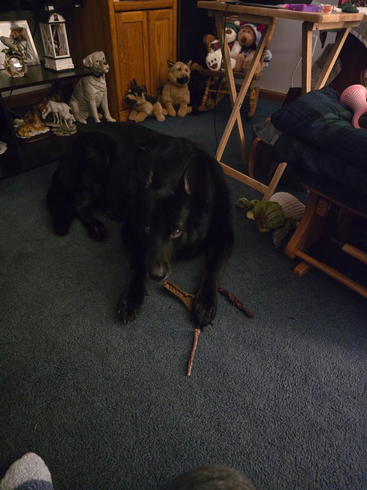 Air Dried Dog Food, Beef Recipe - Customer Photo From Teresa Hart