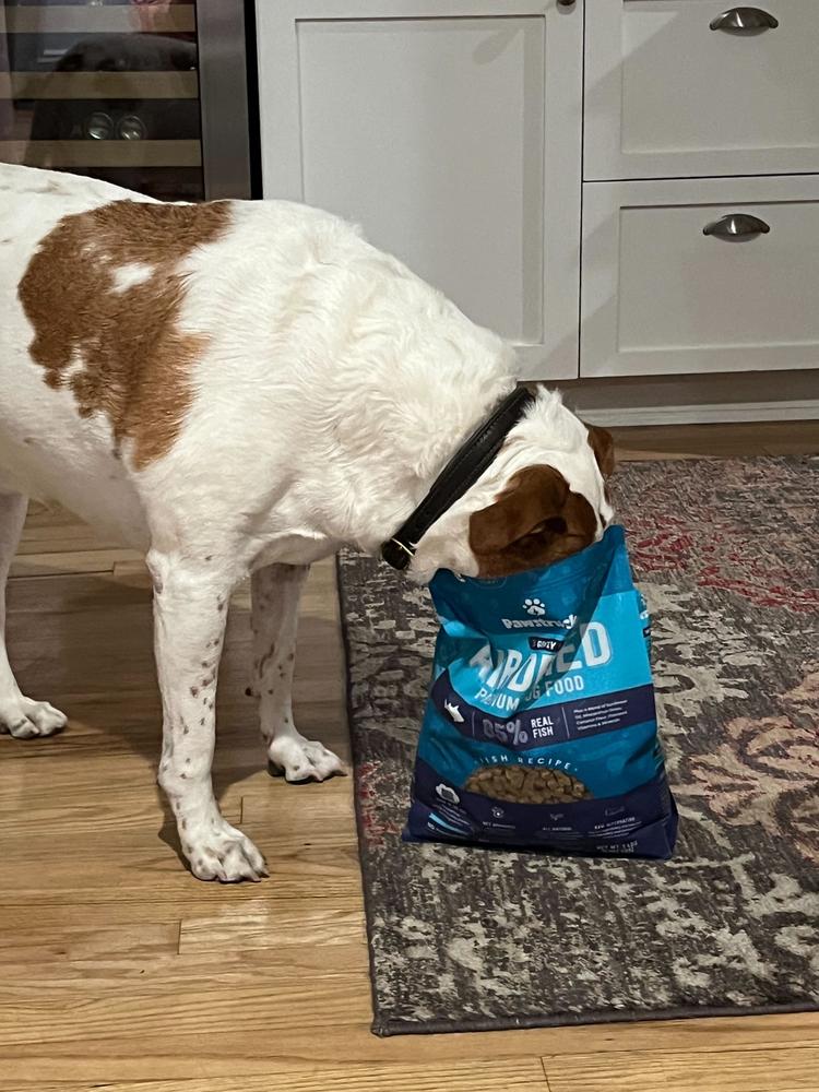 Air Dried Dog Food, Fish Recipe - Customer Photo From Wendy