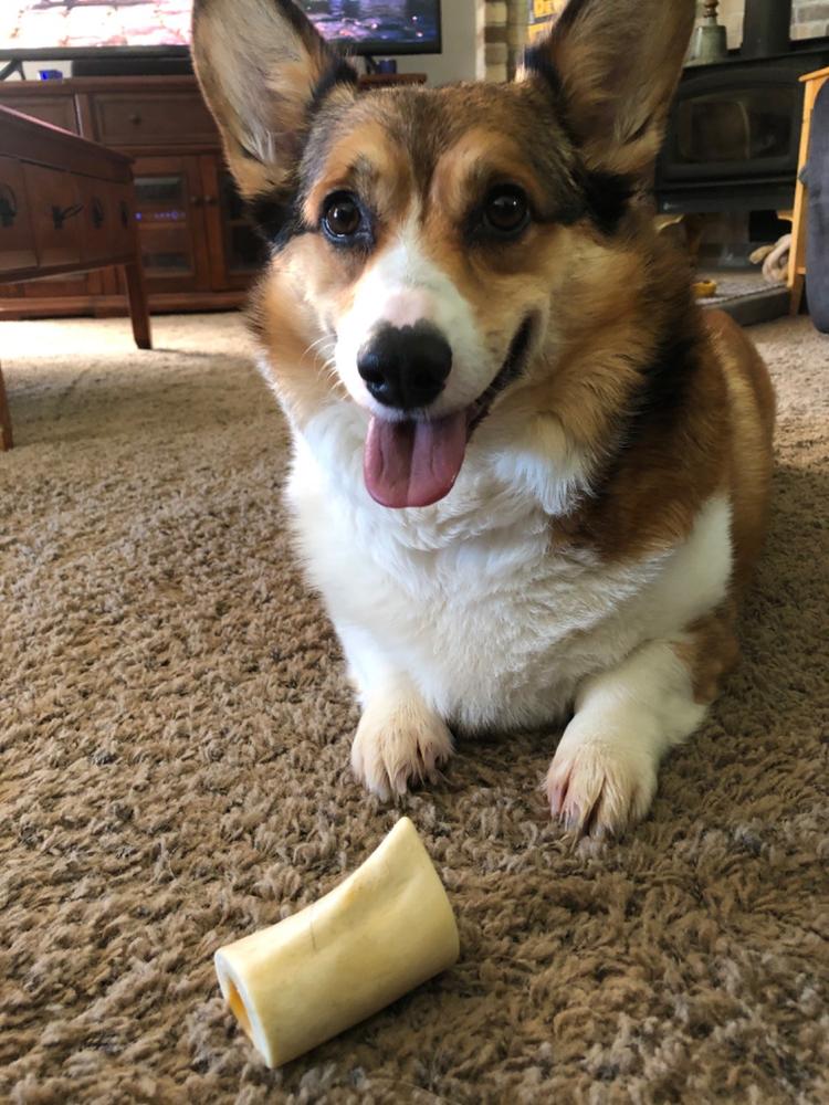 Cheese & Bacon Filled Dog Bones (Small) - Customer Photo From Chelsea Yager