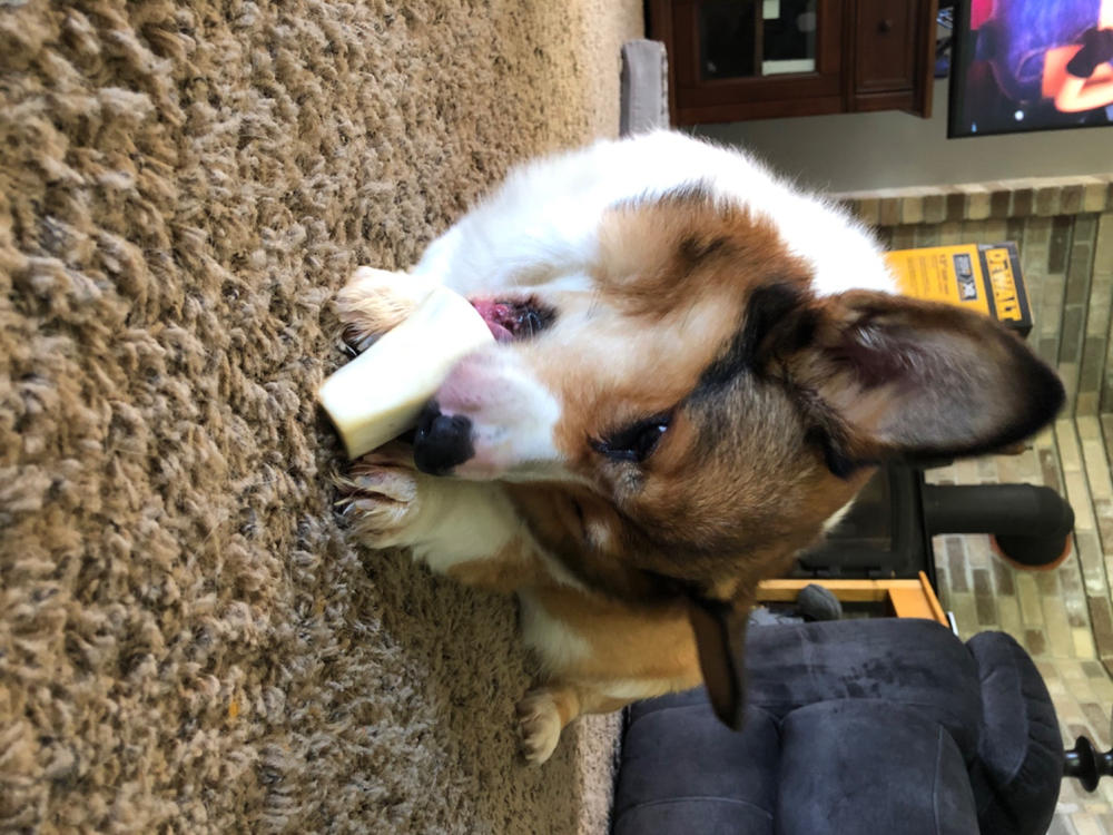 Cheese & Bacon Filled Dog Bones (Small) - Customer Photo From Chelsea Yager