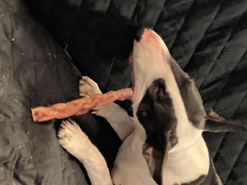 Pawstruck 9" Braided Bully Sticks - Customer Photo From Dineice p.