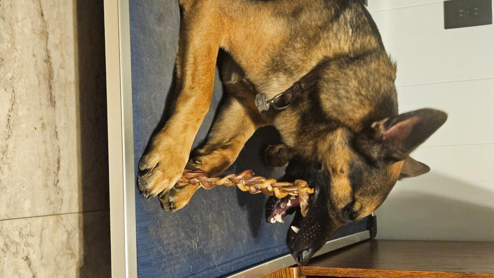 12" Braided Bully Sticks - Customer Photo From Diane Andrews