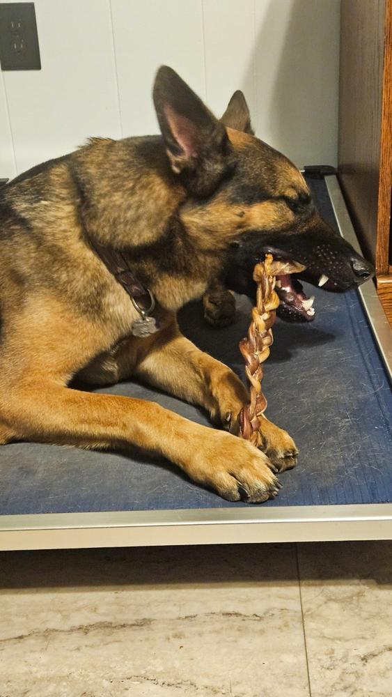 12" Braided Bully Sticks - Customer Photo From Diane Andrews
