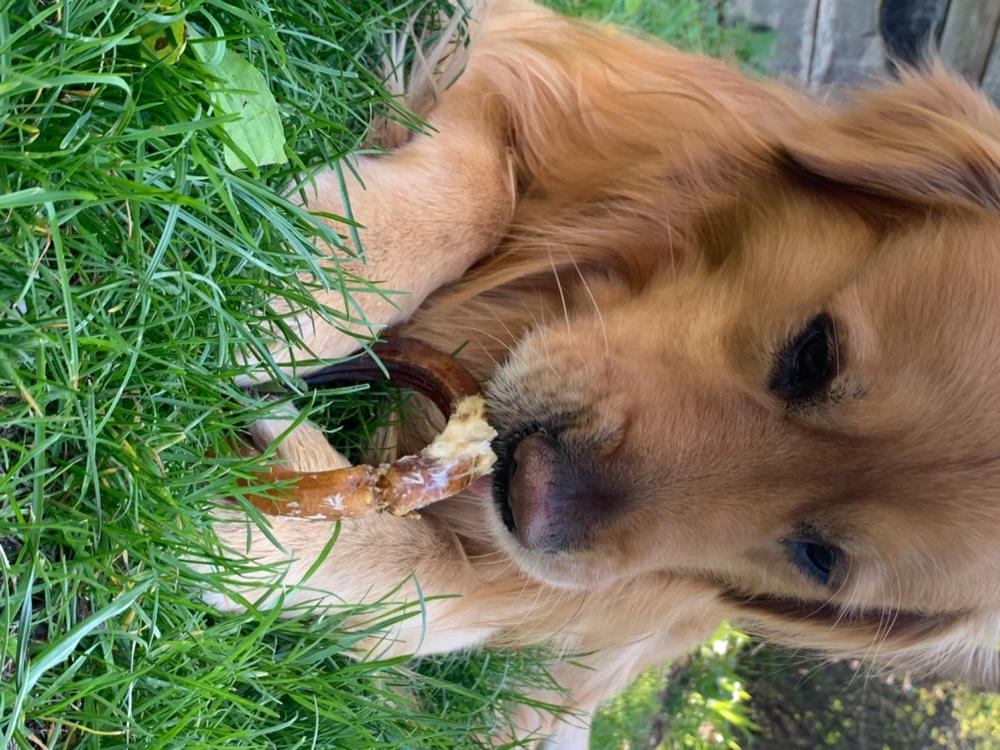 Pawstruck Bully Stick Rings (4") - Customer Photo From Jenny B.