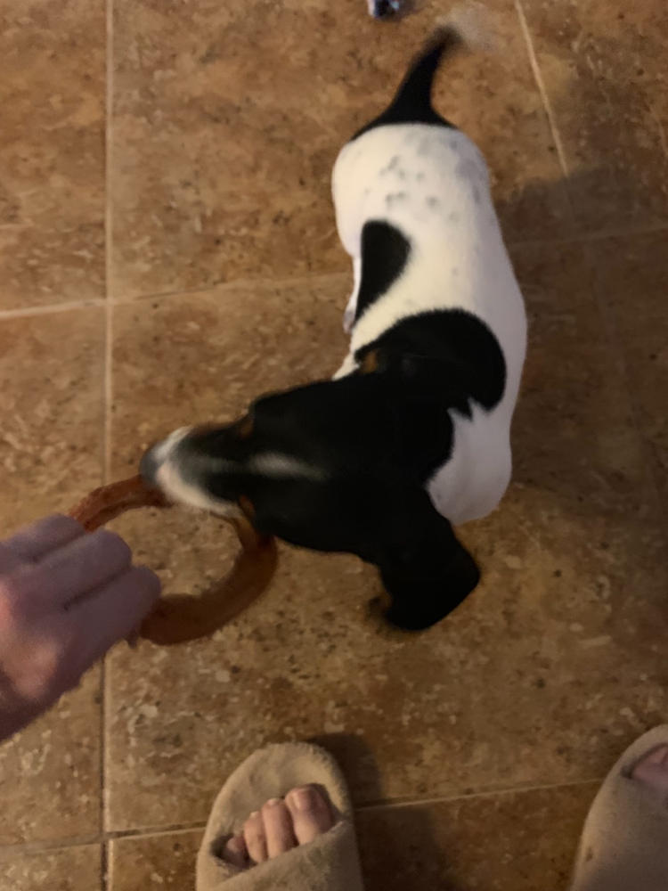 bully stick rings
