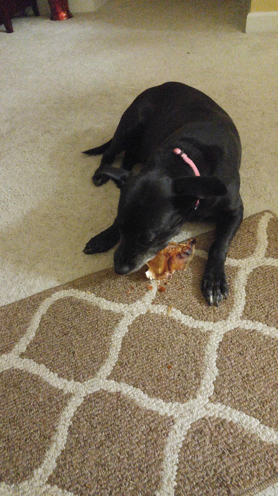 Pig Ears for Dogs - Customer Photo From Barbara Mikalinis