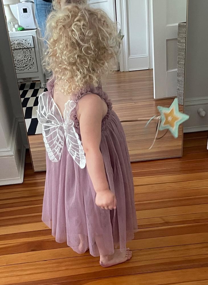 BUTTERFLY FAIRY Dress - Customer Photo From Beth Logan