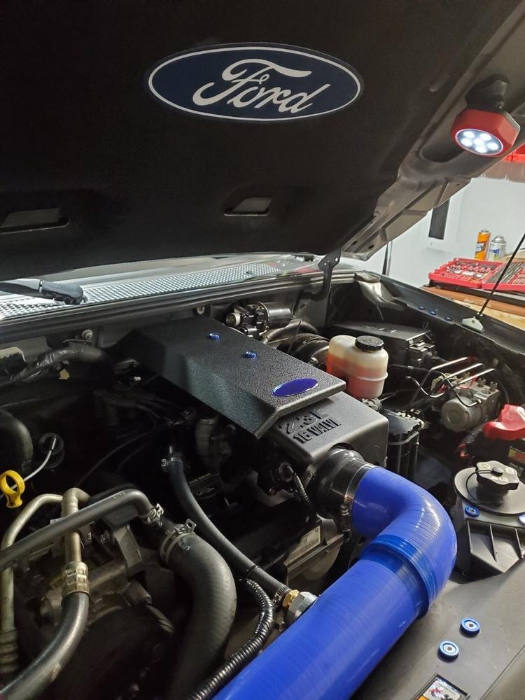 FSWERKS Engine Cover - Ford Focus 2.0L/2.3L Duratec 2005-2011 - Customer Photo From Paul Terryberry