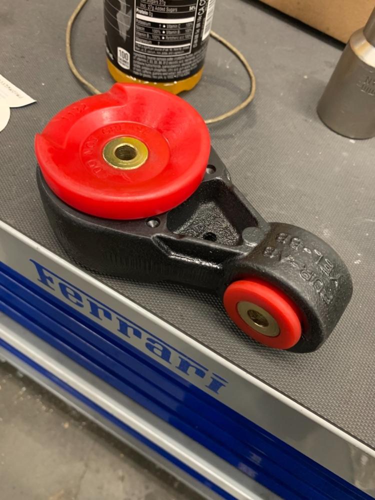 Poly Inserts for OE Rear Engine Mount - Ford Focus 2000-2007 - Customer Photo From Adam Anderson
